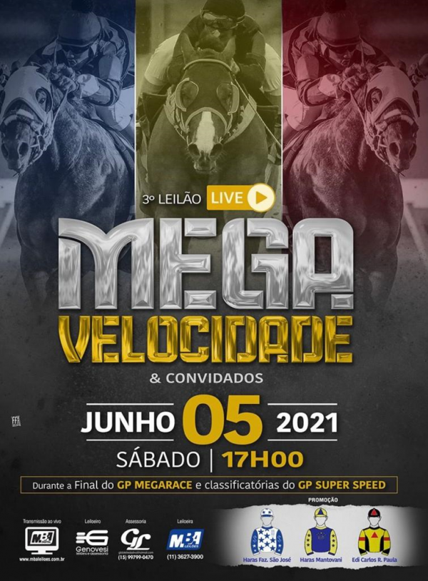 3º LEILÃO LIVE MEGA VELOCIDADE