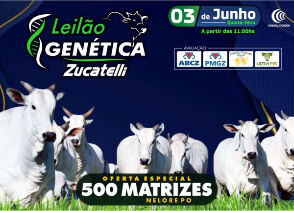 Leilão Genética Zucatelli