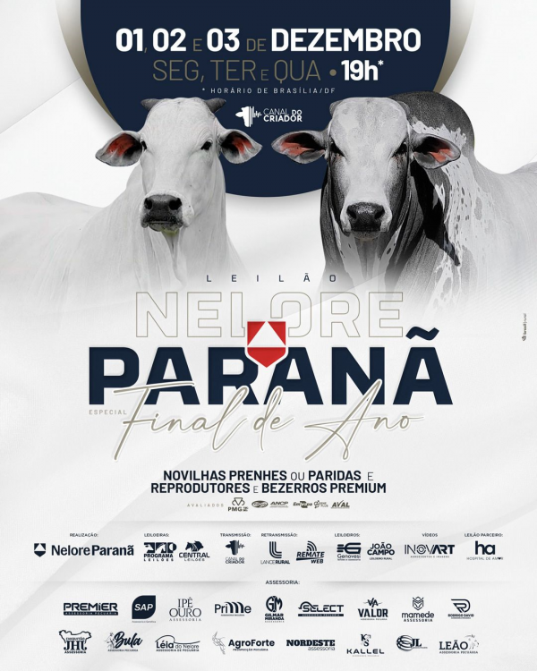 LEILÃO NELORE PARANÃ FINAL DE ANO - ETAPA MACHOS