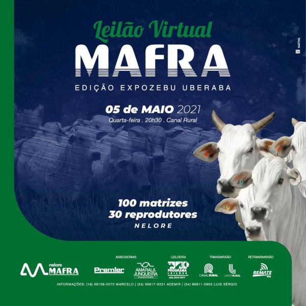 LEILÃO MAFRA AGROPECUÁRIA