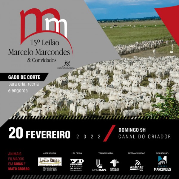 15° LEILÃO MARCELO MARCONDES & CONVIDADOS