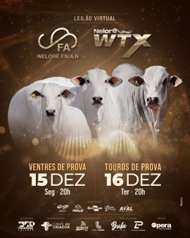 Leilão Virtual Nelore F.N.A.N e Nelore WTX - Ventres de Prova